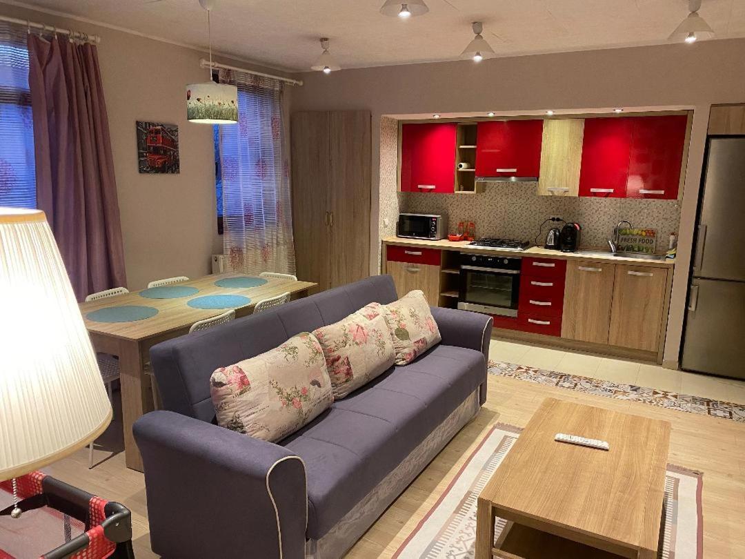 Apartament Igi Red Flat With Free Private Parking Kluż-Napoka Zewnętrze zdjęcie